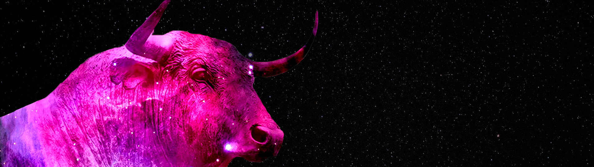 AstroBull